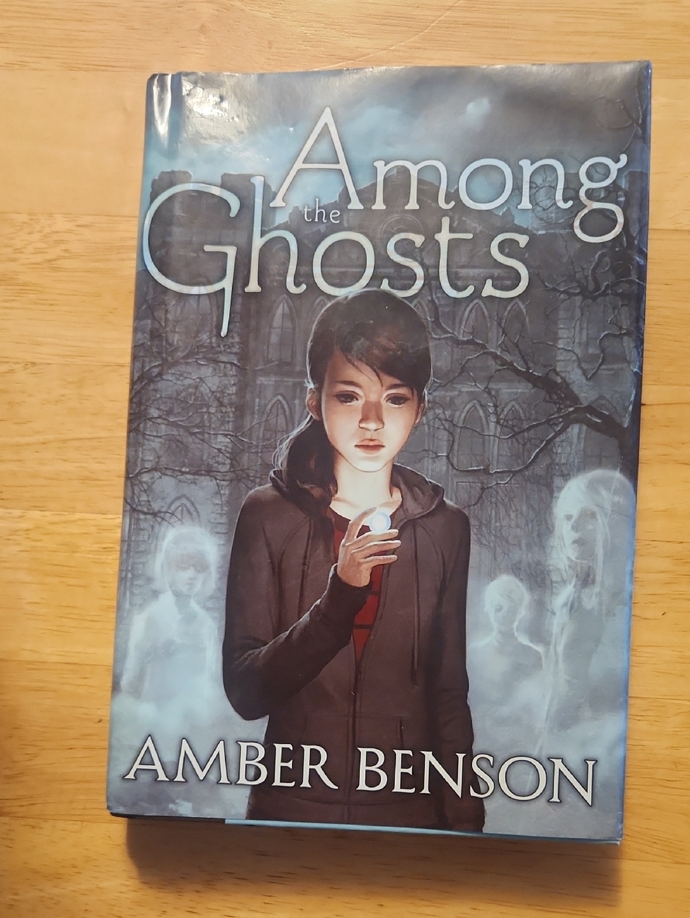 Among the Ghosts by Amber Benson - Blue Gothic YA Hardcover